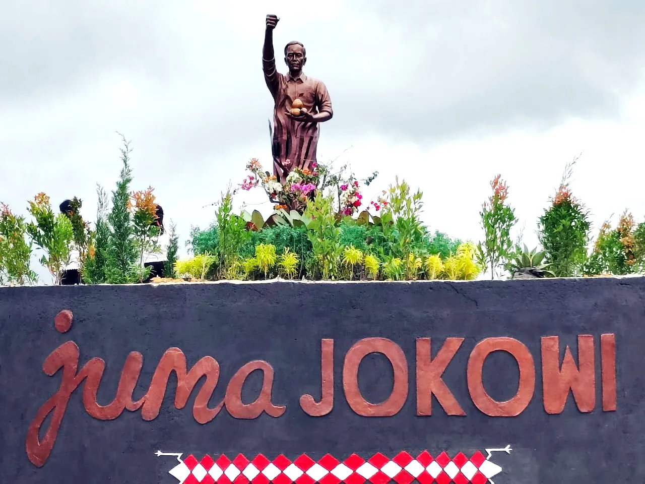 Besok Jokowi ke Liang Melas Datas Karo, Tinjau Lahan Jeruk Terdampak Hama Lalat Buah