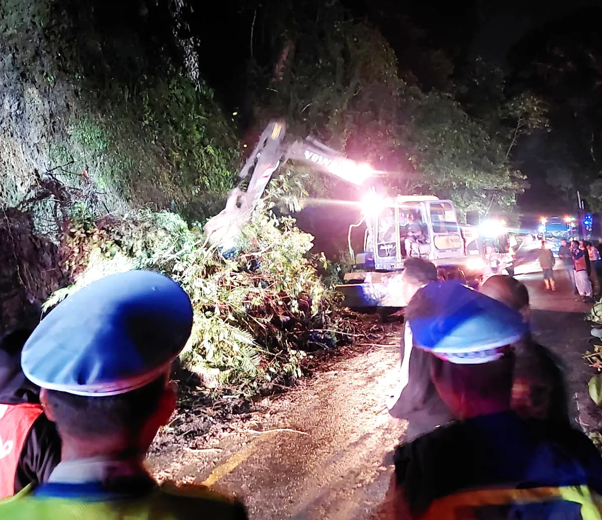 Longsor dan Pohon Tumbang di Sibolangit, Arus Lalu-Lintas Medan-Berastagi Macet