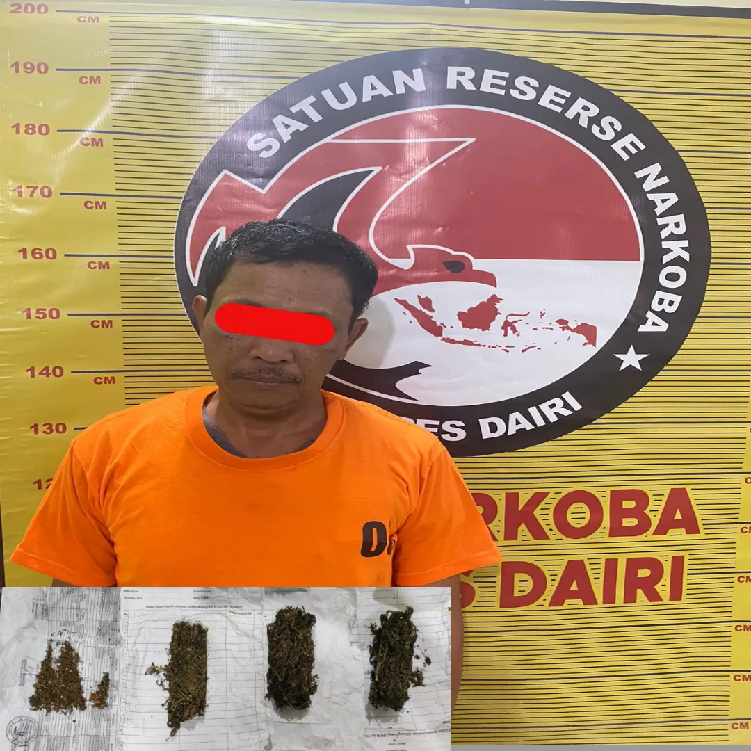 Sat Narkoba Polres Dairi Tangkap Pria Paruh Baya atas Kepemilikan Ganja