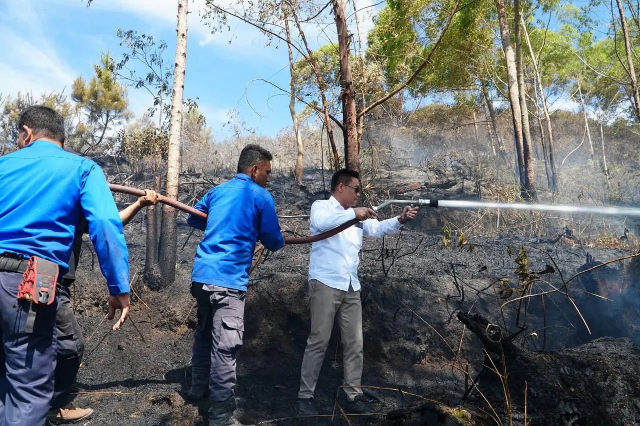 Bupati Humbahas Pimpin Padamkan Kebakaran Hutan di Perbukitan Danau Toba