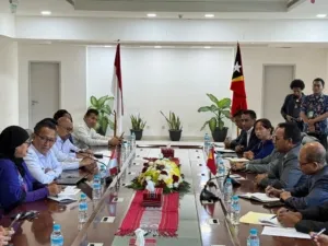 Timor Leste, Indonesia-IOM Bangun Kerja Sama Imigrasi Dalam Format Trilateral