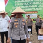 Dukung Swasembada Pangan, Polrestabes Medan Tanam Jagung Kuartal III