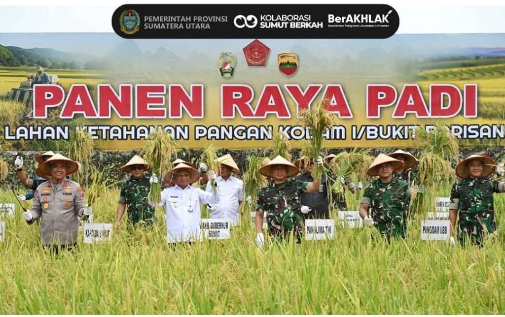 Panglima TNI Panen Raya di Deliserdang, Seluas 80 Hektar Hasilkan 550 Ton Padi