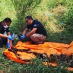 Kerangka Mayat Mr X Ditemukan di Pantailabu