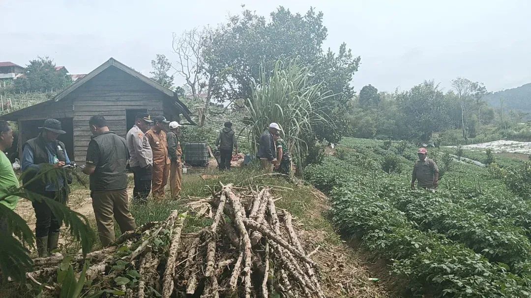 Harimau Tersorot Lampu Sepeda Motor, Warga Diminta Waspada