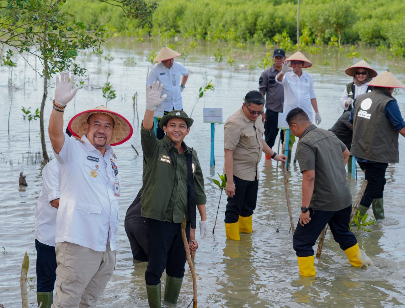 Menhut Targetkan Penanaman Mangrove M4CR Seluas 15.387 Hektar di 4 Provinsi