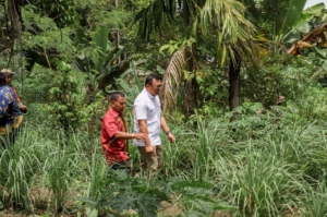 Bupati Canangkan Sibolangit Jadi Sentra Cabai dan Kawasan Wisata