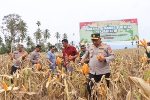 Polres Tanah Karo Gelar Panen Raya Serentak Kuartal III di Desa Singgamanik
