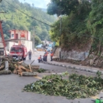 Akibat Angin Kencang, Pohon Tumbang di Jalan TPR Sinaga Parapat