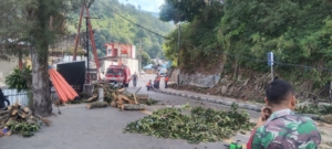 Akibat Angin Kencang, Pohon Tumbang di Jalan TPR Sinaga Parapat