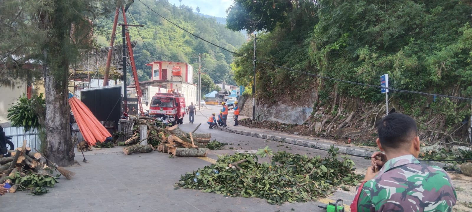 Akibat Angin Kencang, Pohon Tumbang di Jalan TPR Sinaga Parapat