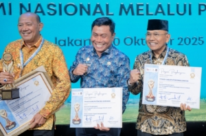 Bupati Simalungun Terima Penghargaan TPAKD Award 2025