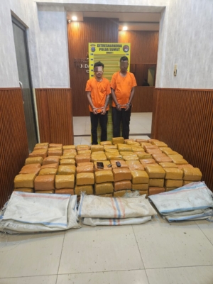 Polda Sumut Gagalkan Peredaran 255 Kg Ganja Asal Aceh, Dua Kurir Ditangkap di Karo
