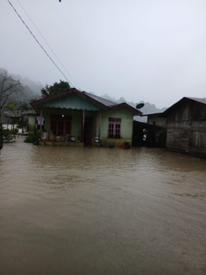 Puluhan Rumah dan Areal Persawahan di Desa Sitolu Bahal Purba Tua Terendam Banjir