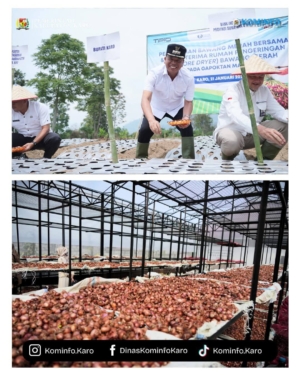 Bantuan Instore Dryer Diserahkan, Gerakan Tanam Bawang Merah Dilakukan di Karo