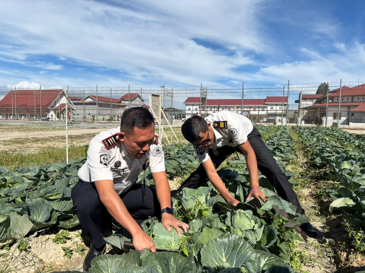Rutan Kelas IIB Humbahas Wujudkan Ketahanan Pangan dan Kepedulian Sosial