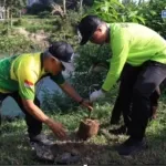 Gotong Royong Gerakan Indonesia Asri, Pemko Binjai Tanam 50 Bibit Pohon