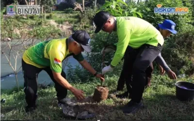 Gotong Royong Gerakan Indonesia Asri, Pemko Binjai Tanam 50 Bibit Pohon