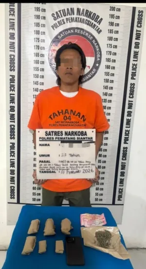 Miliki Ganja, Pemuda Asal Simalungun Dibekuk Polisi