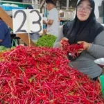 Belanja Masyarakat Melemah, Harga Cabai di Deli Serdang Terjun Bebas