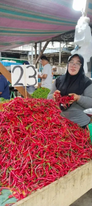 Belanja Masyarakat Melemah, Harga Cabai di Deli Serdang Terjun Bebas