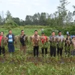 Bupati Humbahas Apresiasi Hasil Panen Bawang Putih di Lintongnihuta