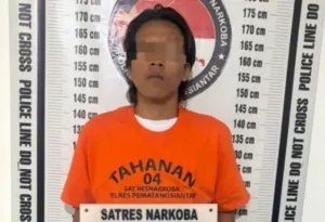 Miliki Ganja, Pemuda Asal Simalungun Dibekuk Polisi