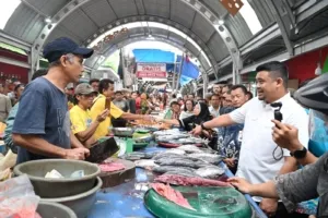 Harga Daging Ayam di Sumut Mulai Turun  