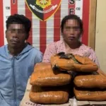 Polisi Ringkus  Kurir Asal Madina, Sita 5 Kilogram Ganja