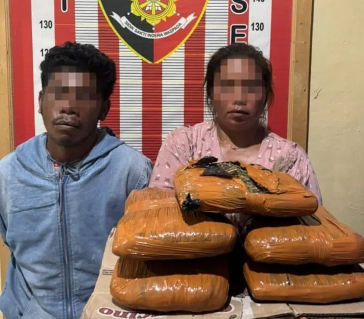 Polisi Ringkus  Kurir Asal Madina, Sita 5 Kilogram Ganja