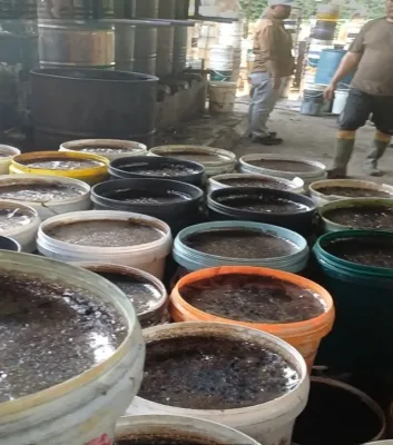 Balai Besar POM di Medan Temukan Tempat Produksi Lengkong Hitam Berformalin di  Langkat