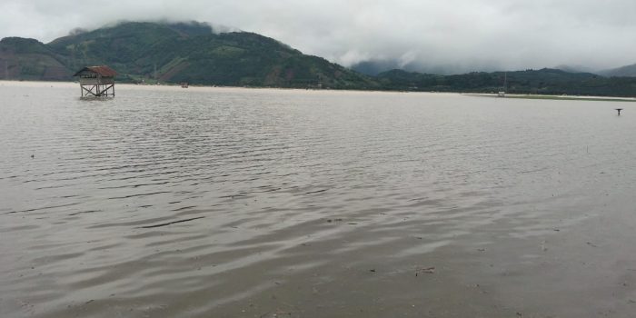 Hujan Tinggi Rendam 643 Hektare Sawah di Paya Lahlah Karo