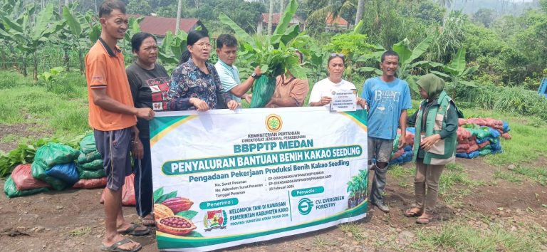 7.000 Bibit Kakao Kementan Dibagikan kepada Petani di Benjire